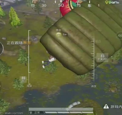 新主播，求关注！