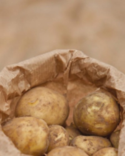 一级退堂鼓选手